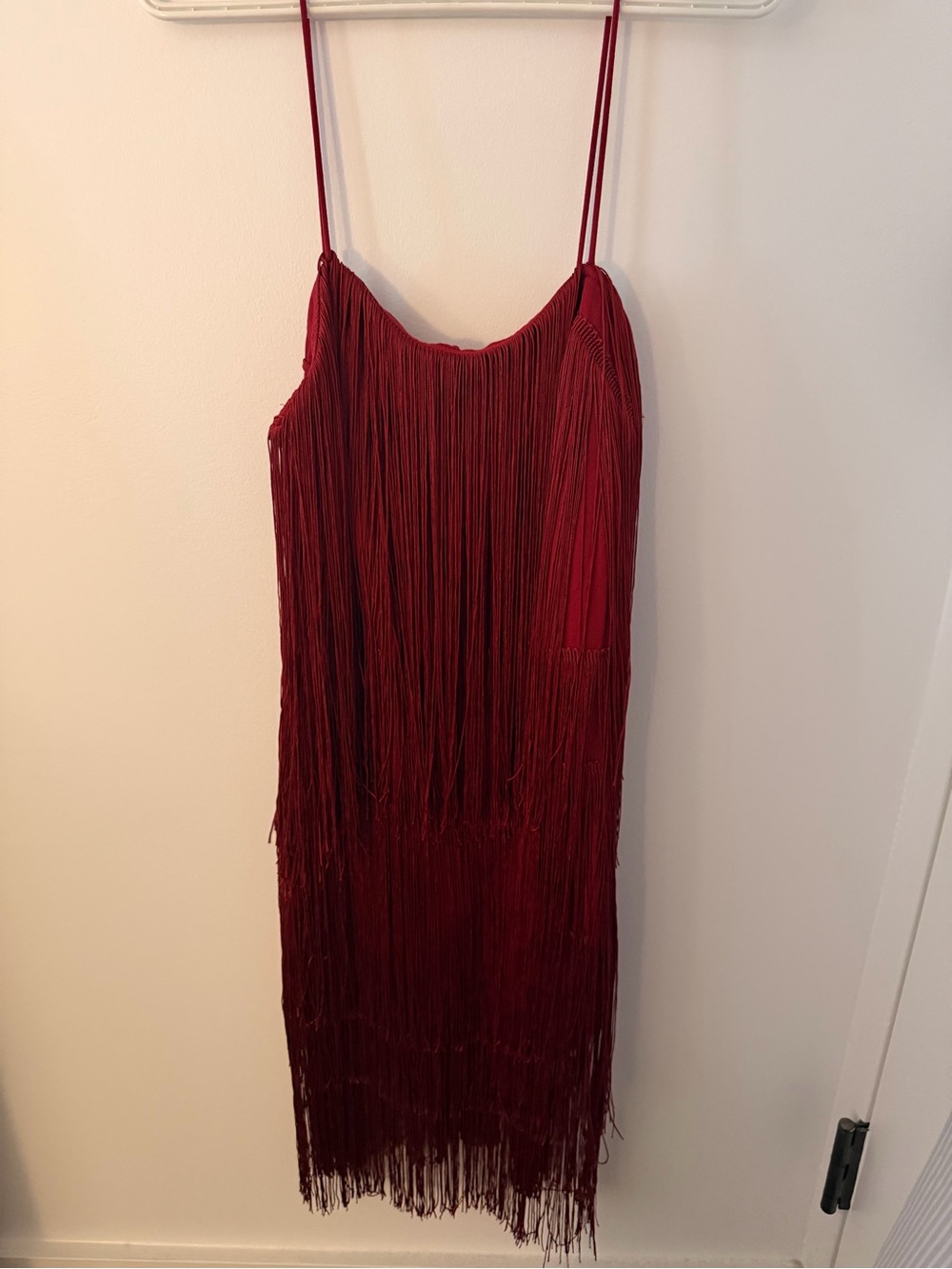 Florence Fringed Open Back Short Dress NWT